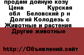 продам дойную козу   › Цена ­ 4 000 - Курская обл., Беловский р-н, Долгий Колодезь с. Животные и растения » Другие животные   